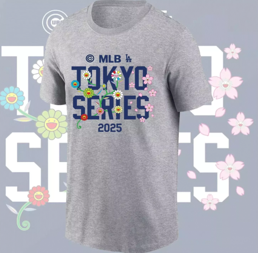 Men Chicago Cubs blank grey 2025 MLB T shirts 43->mlb t-shirts->Sports Accessory
